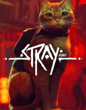 Stray